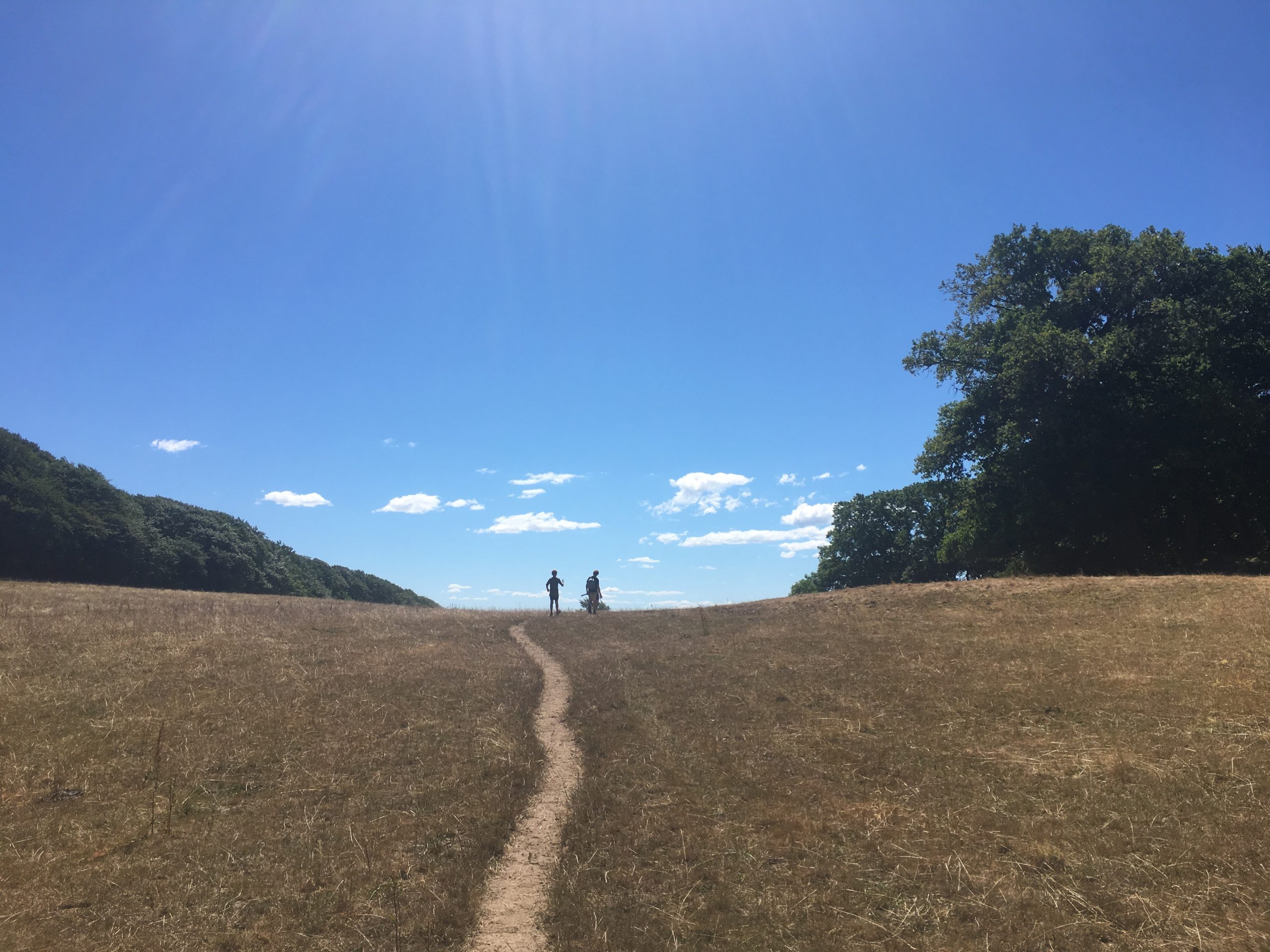 GUIDE Pippi på Kullen – vandreture til drivtømmerværket Nimis (rundture på 16, 5 og 3 km)