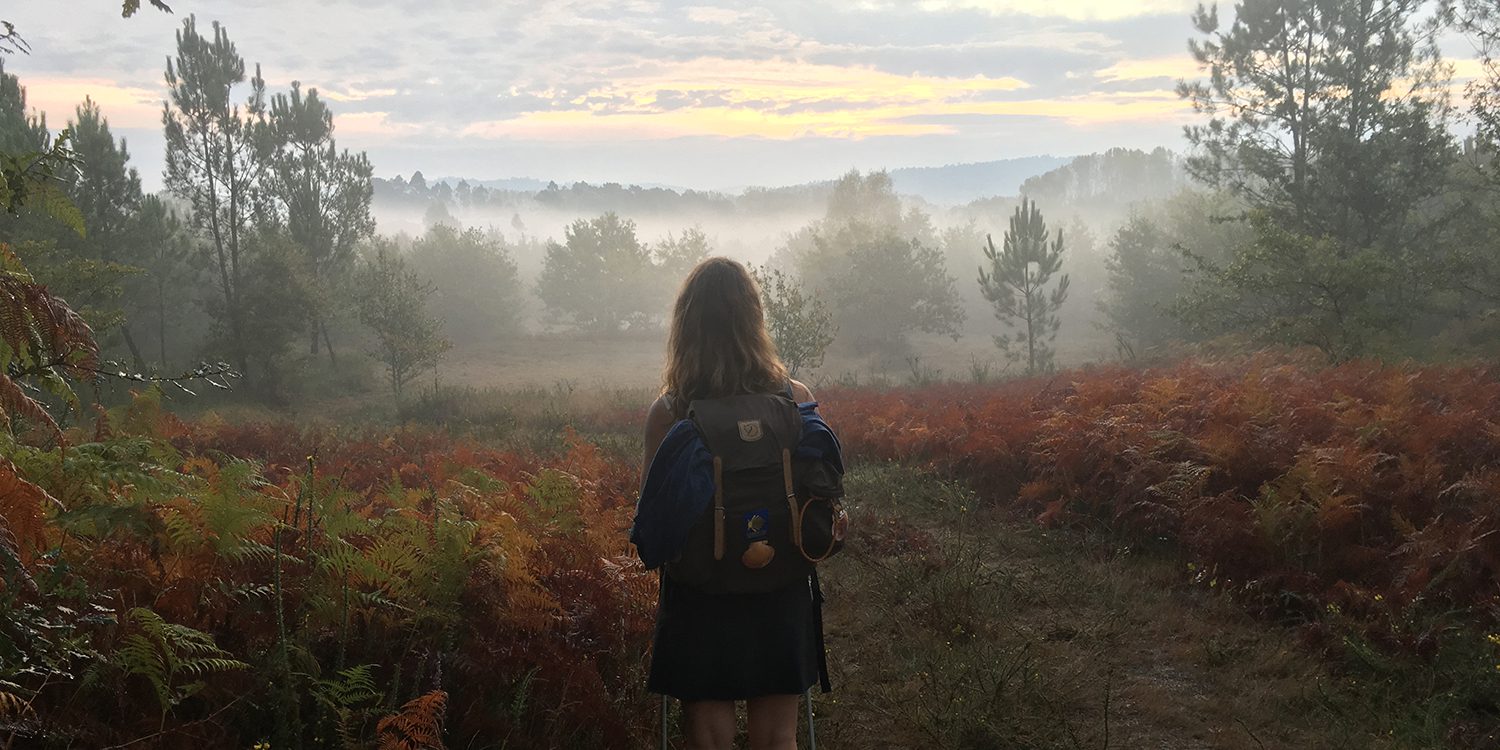 Camino Portugues from Porto to Santiago de Compostela