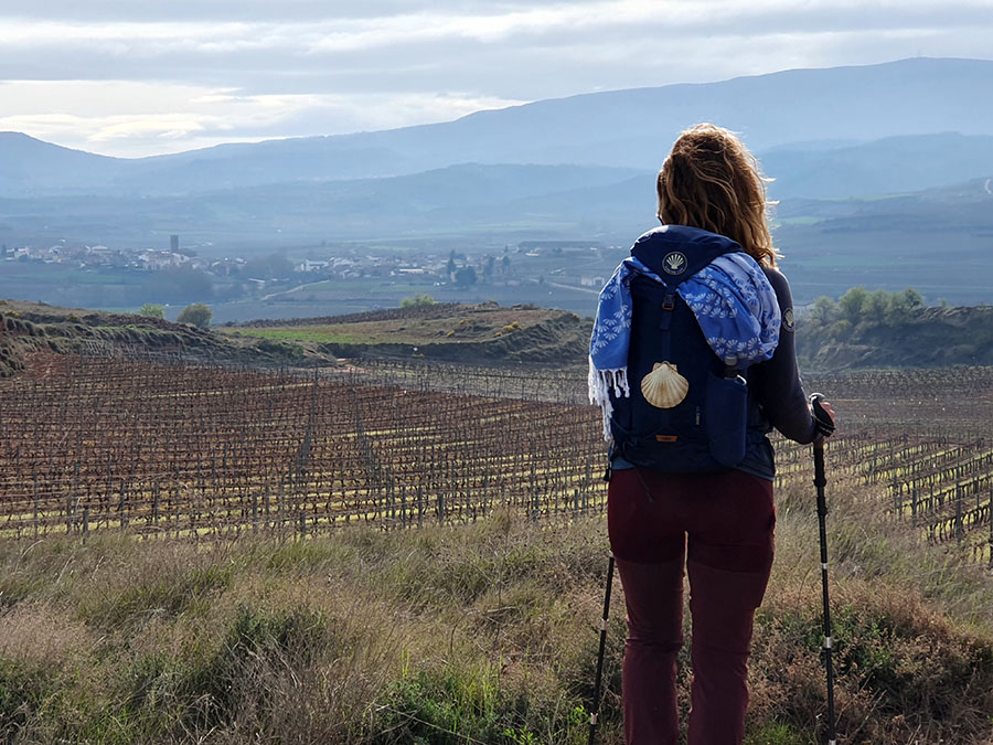 Vandrer kigger på vinmarker i La Rioja