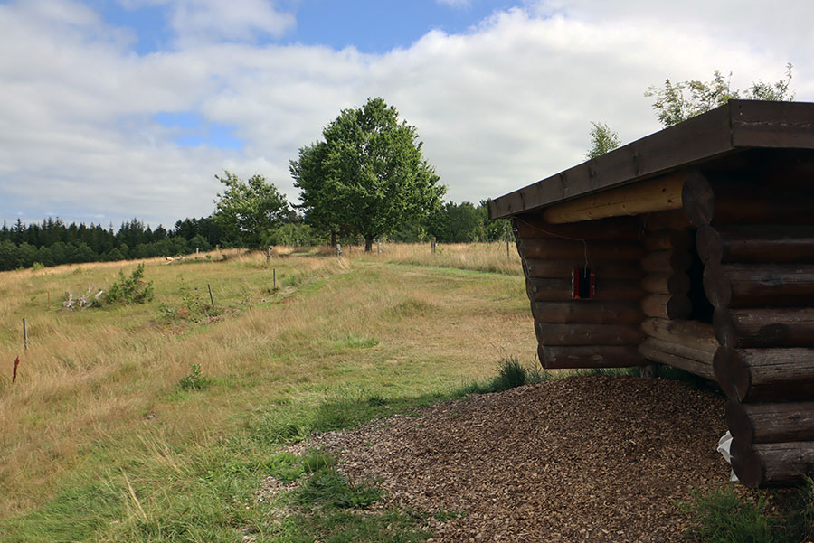 Smukt beliggende shelter Vrads Sande