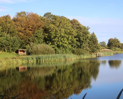 Smuk shelterplads ved Klokkerholm Møllesø