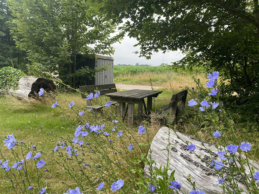 Østrup naturrum