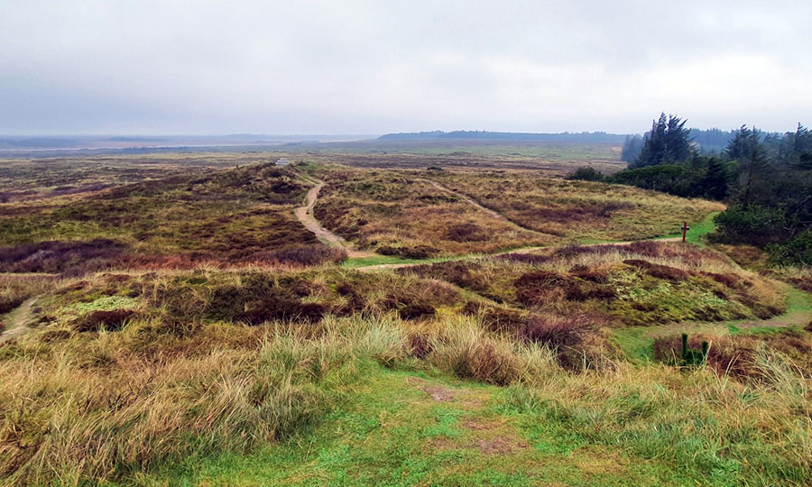 Udsigten fra Isbjerg Nationalpark Thy