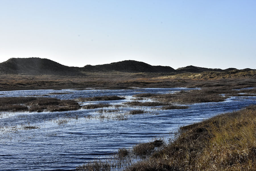 Oversvømmet sti i Bulbjerg