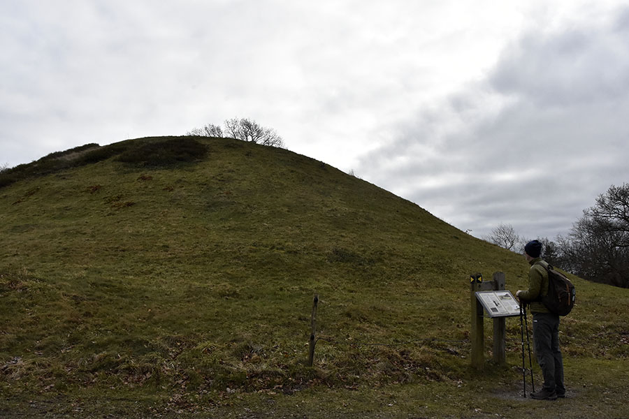 Danmarks største gravhøj er Hohøj ved Mariager - 12 meter høj og 72 meter i diameter