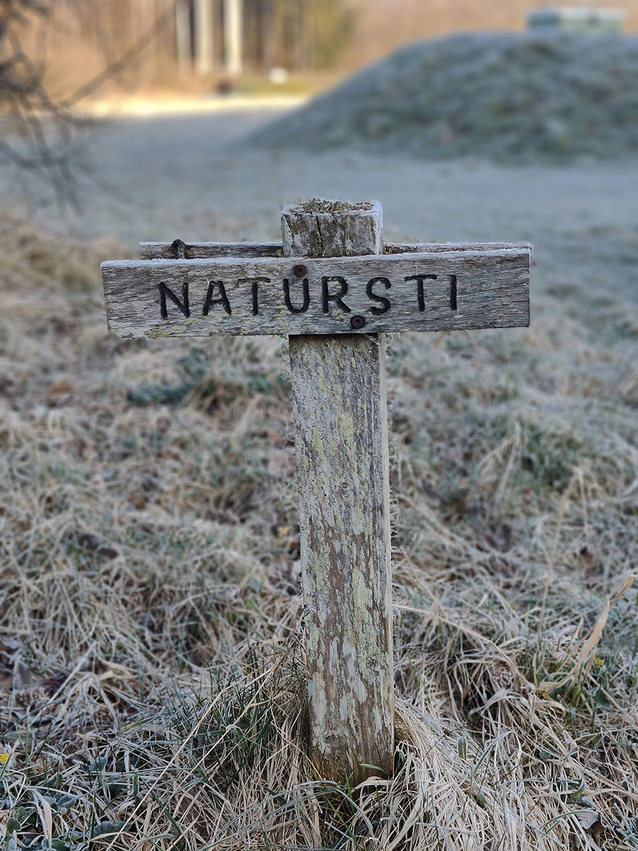 Nasturstien ved Spellinge Mose på Bornholm