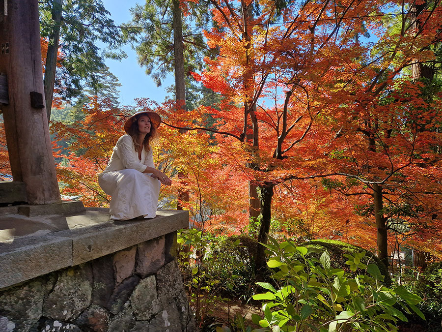 Efterårsfarver på Shikoku 88 Momijigari