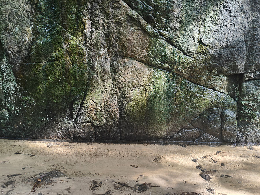 Aahalsen klippevæg i Svartingedalen på Bornholm