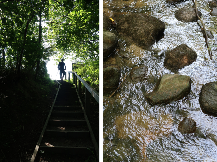 Trappe og vandløb i Svartingedalen på Bornholm