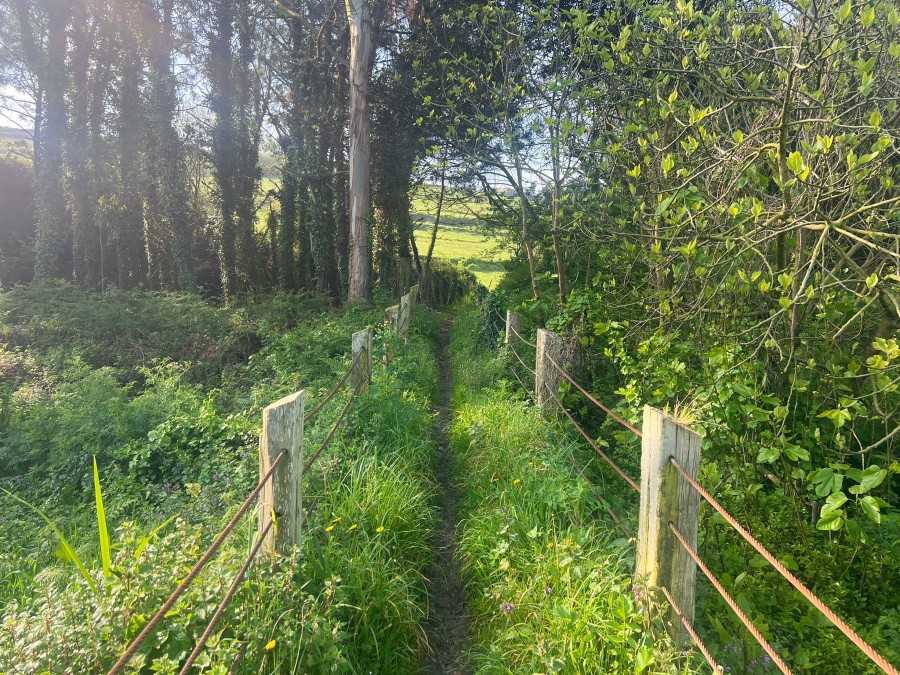 Alternativ rute på Camino del Norte mellem Canero og Luarca - Ruta Cangrexa Playa de Cueva