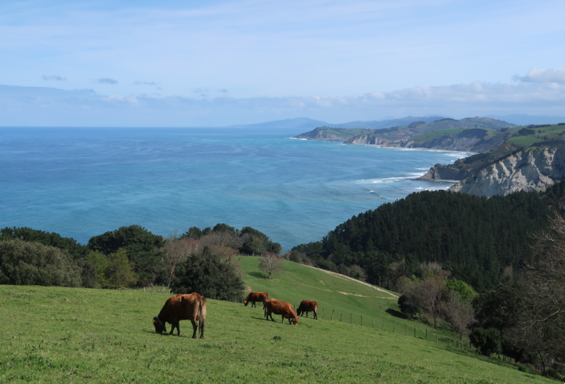Biscayens kyst på Camino del Norte