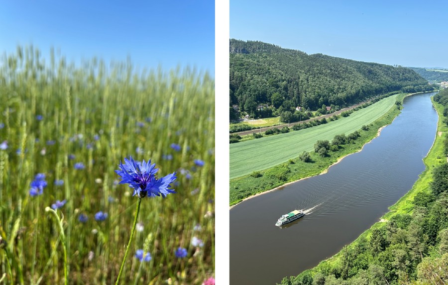 Malerweg i juni - hvilken årstid er bedst?