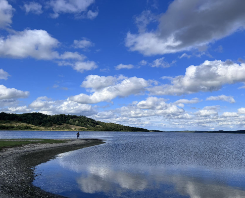 Udsigt over Katbjerg Odde ved Mariager fjord