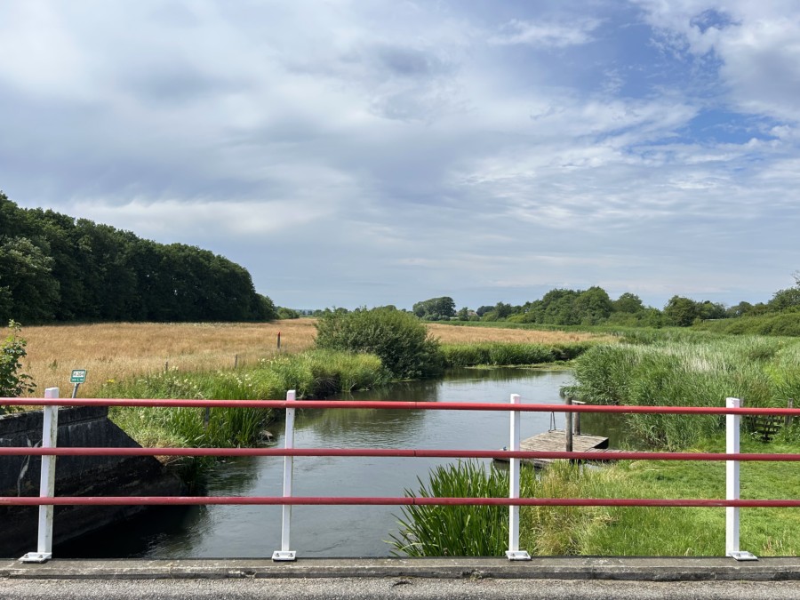 Frihedsbroen