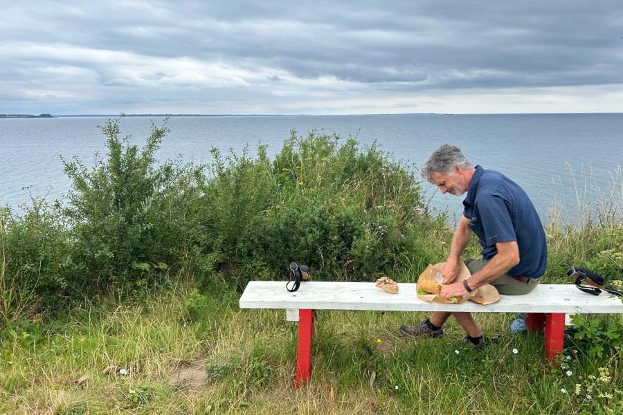 Bænk på vandreruten ved Varnæs Hoved