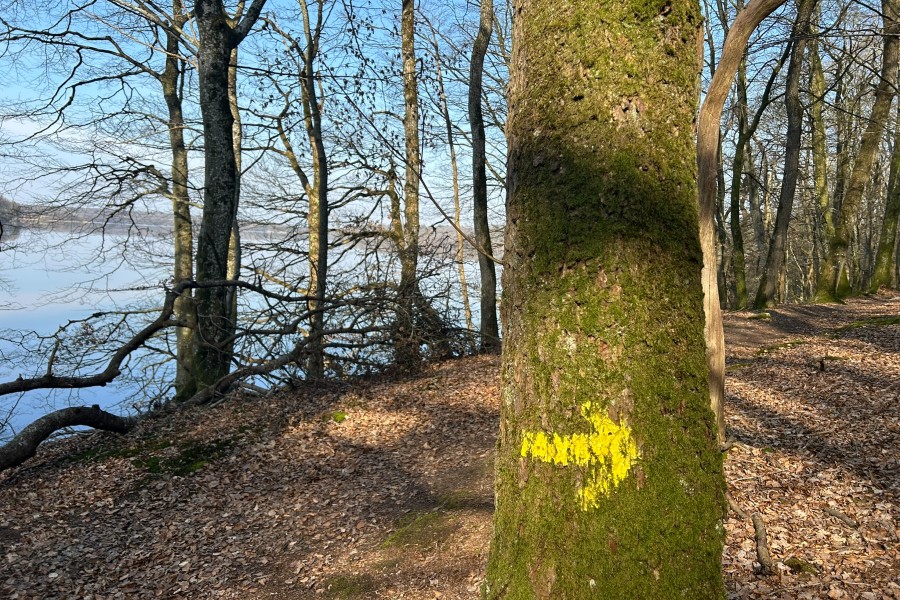 Gul pil viser vej på vandreturen ved Gammel Almind, Hald Sø