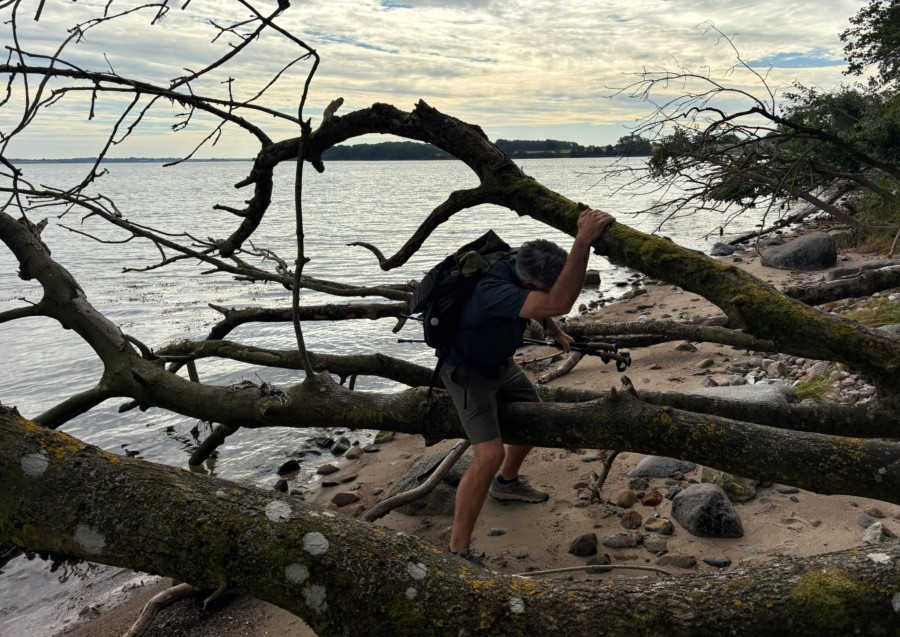 Forhindringer langs stranden på Alssundstien