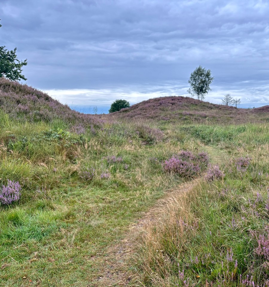 Frøslev polde-stiens klimper