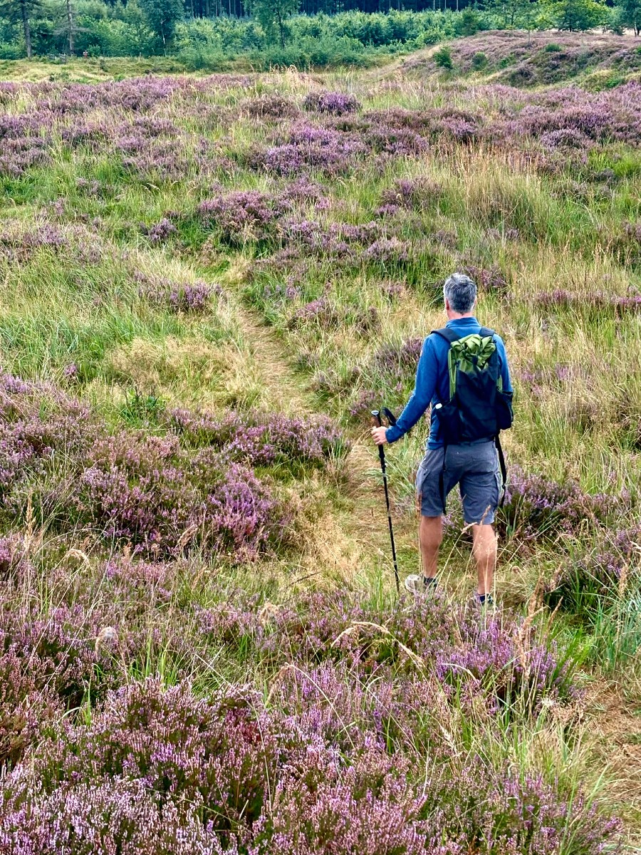 Vandrer i lyng ved Frøslev Polde
