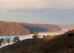 Kvalitetsstien ved Dollerup Bakker, Stanghede og Hald Sø