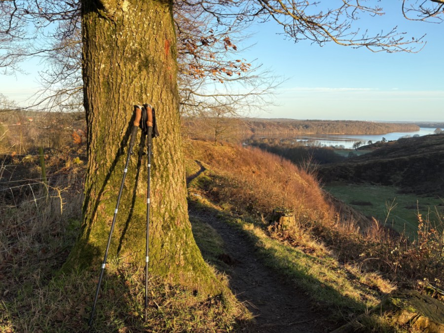 Vandrestave er en god ide på Gletsjerruten ved Hald Sø og Dollerup Bakker - en af hærvejens perler.