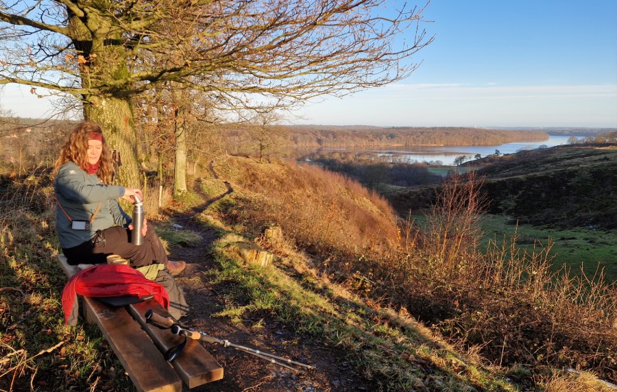 Udsigtsbænk på Gletsjerruten ved Hald Sø og Dollerup Bakker - en af hærvejens perler.