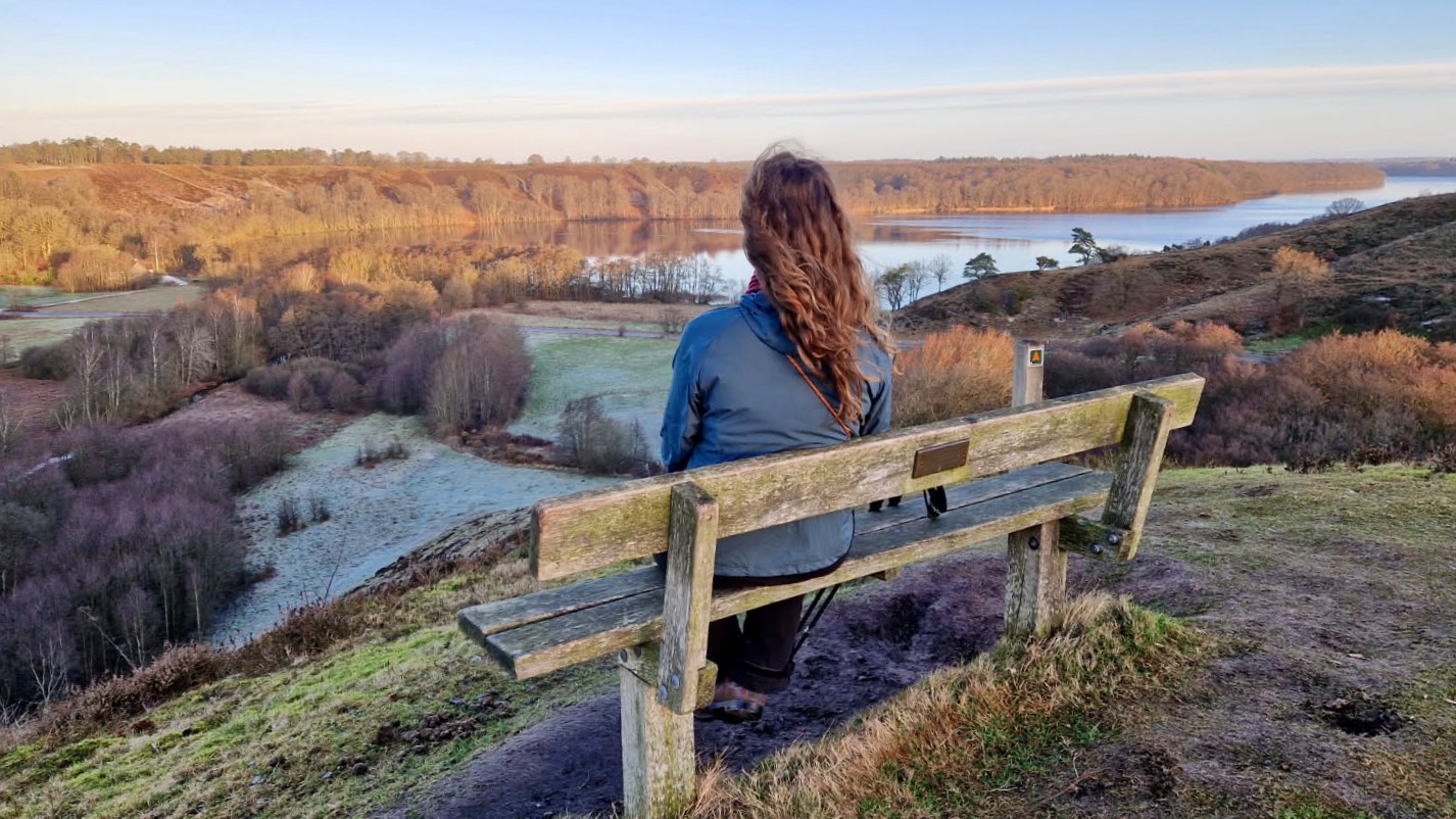 Udsigtsbænk på Gletsjerruten ved Hald Sø og Dollerup Bakker - en af hærvejens perler.