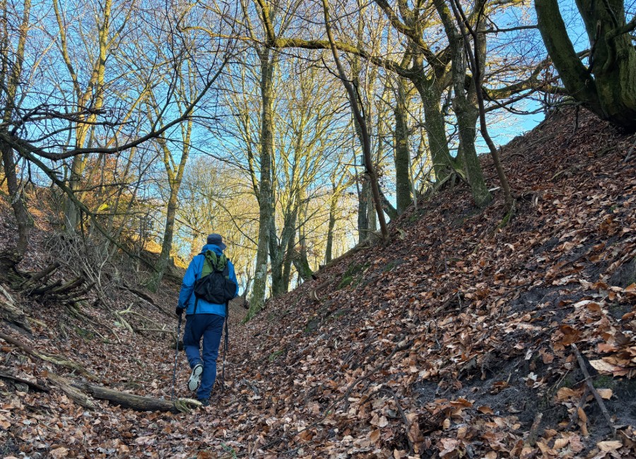 Dyb hulvej ved Halkær Mølle