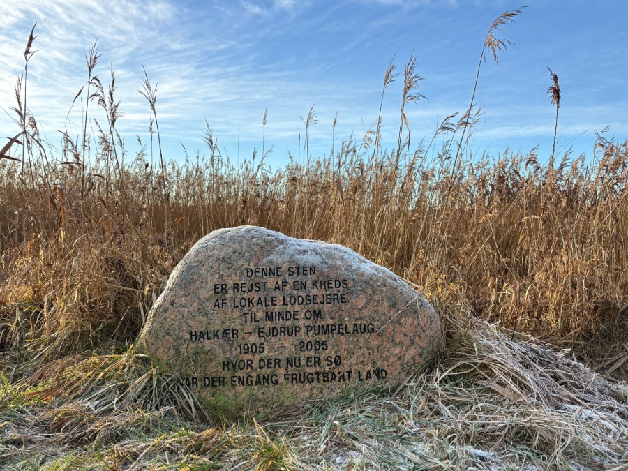Mindesten for Halkær Pumpelaug