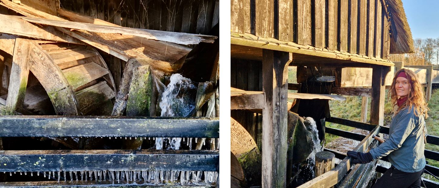 Halkær Mølles møllehjul