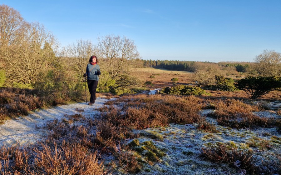Heden på Hammer Bakker Ruten - en af Hærvejens perler.