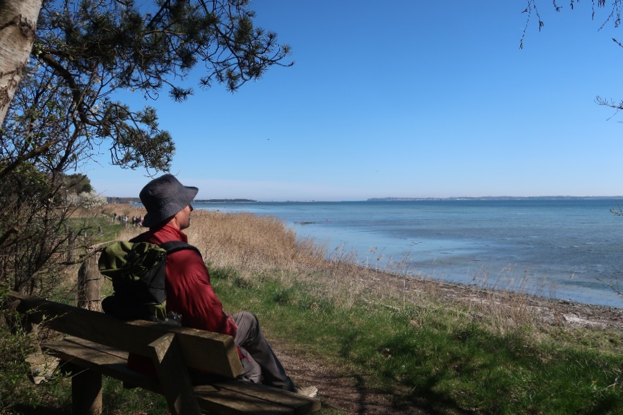 Vandrer nyder udsigten over Isefjorden ved Skredbjerg.