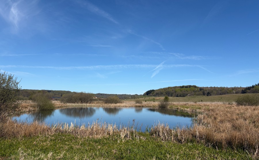Sø i Vejle ådal