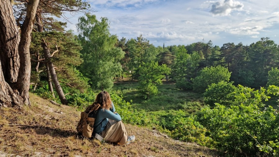 Aftenlys i Højsandet