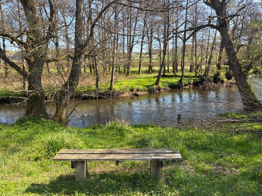 Bænk i Vejle ådal