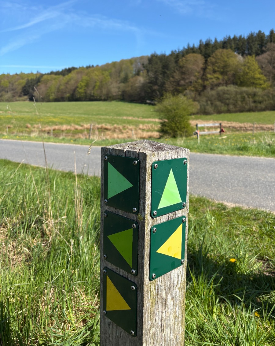 Gule rute ved Haraldskær i Vejle ådal.