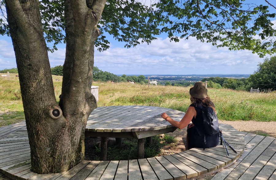 VANDRERUTE Skamlingsbankestien (6 km rundtur)