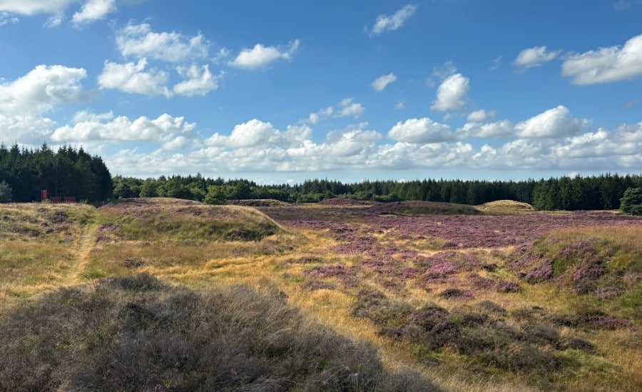 Klimper vandrerute i Stensbæk Plantage