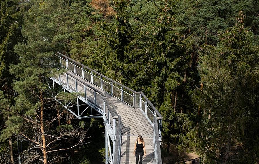 118881736_3422090731186523_1033820255289160797_o