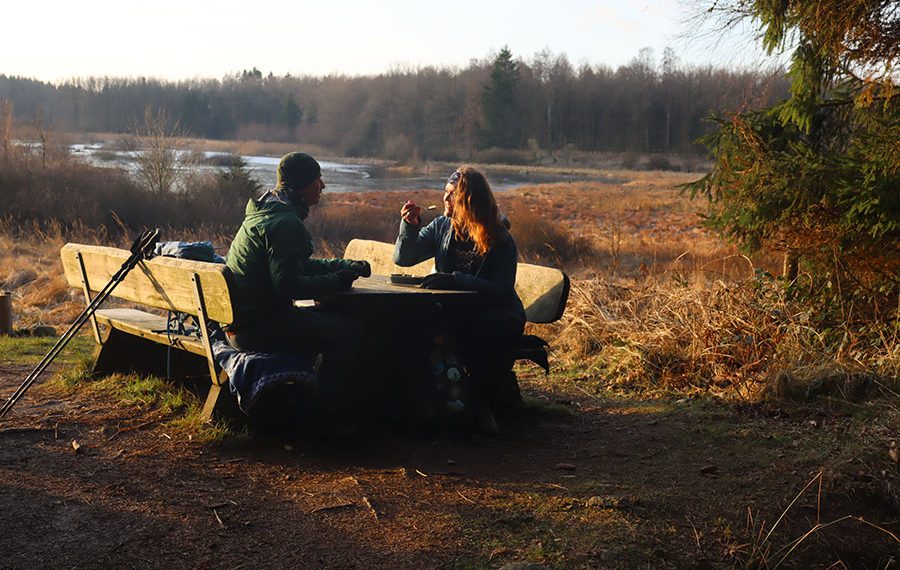 Bisonstien-bornholm-vandrerute-svinemosen-prinsgemalens-baenk