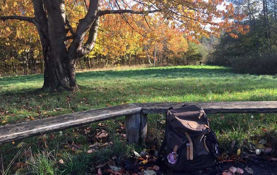 Den-Danske-Pilgrimsrute-Farum