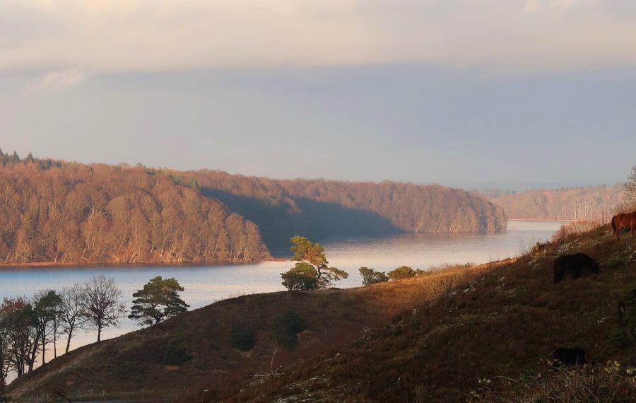 Kvalitetsstien ved Dollerup Bakker, Stanghede og Hald Sø