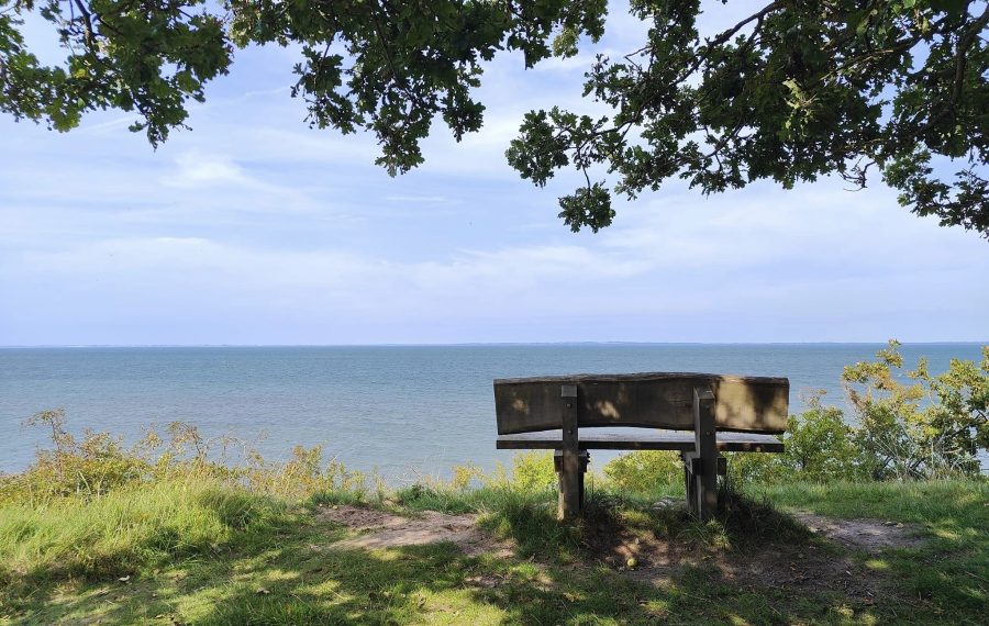 FAC746F3-2D9A-436E-BC5E-034CAFCC28DA