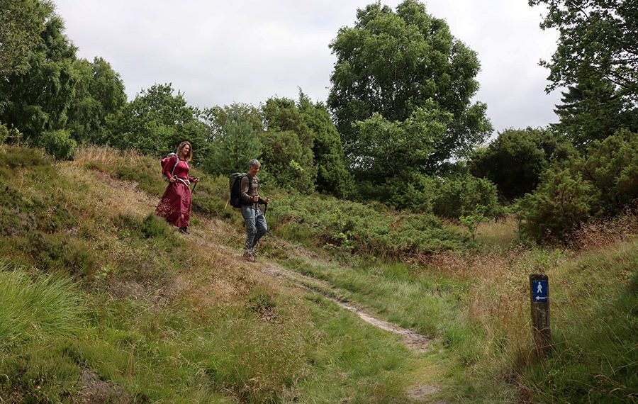 Vandrere på Hærvejen