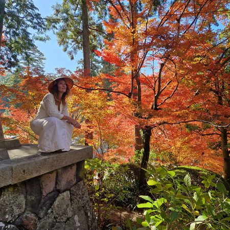 Efterårsfarver på Shikoku 88 Momijigari