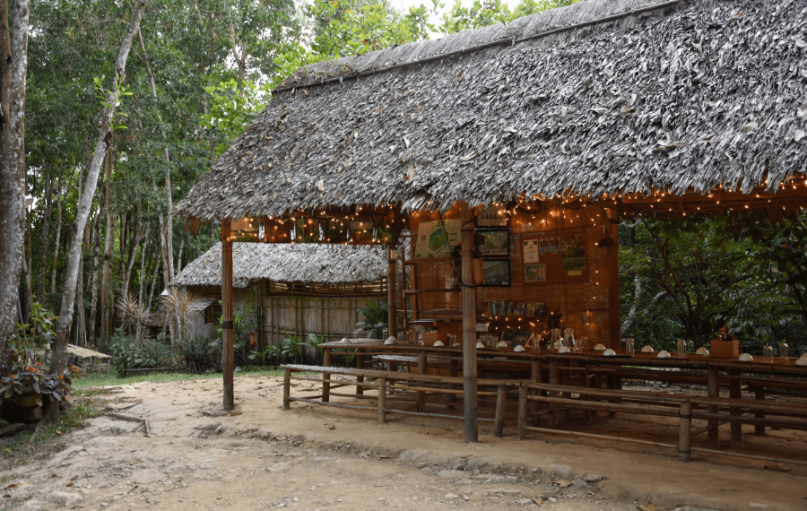 Jungle-trekking-vietnam