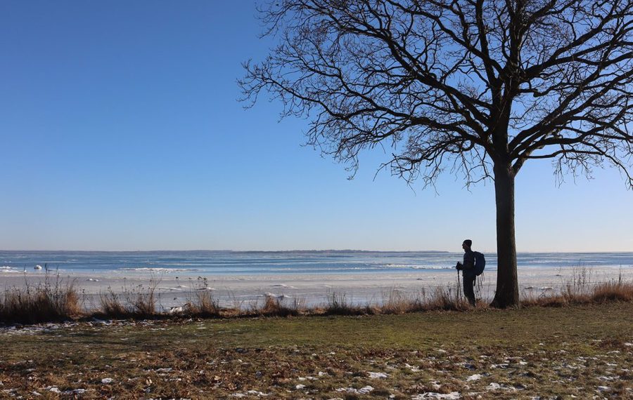 Kløverstierne-i-hørsholm-vandrerute-vandretur-i-usserød-sne-vintervandring-is