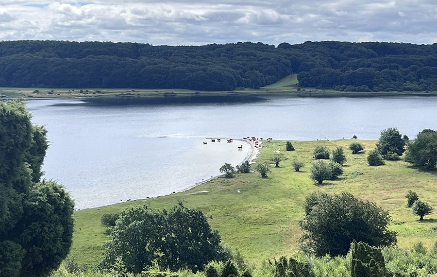 Udsigt fra Låenhusruten