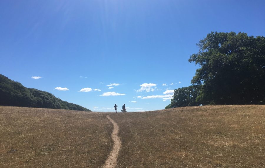 Nimis-vandretur-kullen-sverige