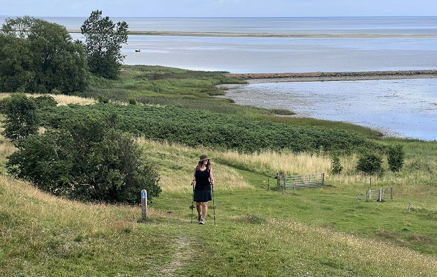 Vandrer på Nordsøstien i kuperet landskab ved Kattegat